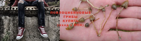 трава Алексин