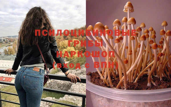 СК Абаза