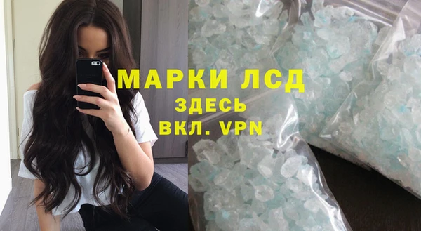 молекула духа Пересвет