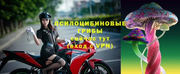 мяу мяу мука Алзамай