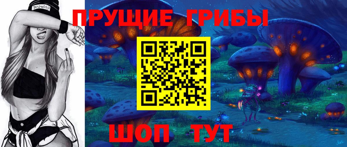 Галлюциногенные грибы Psilocybine cubensis Волгоград
